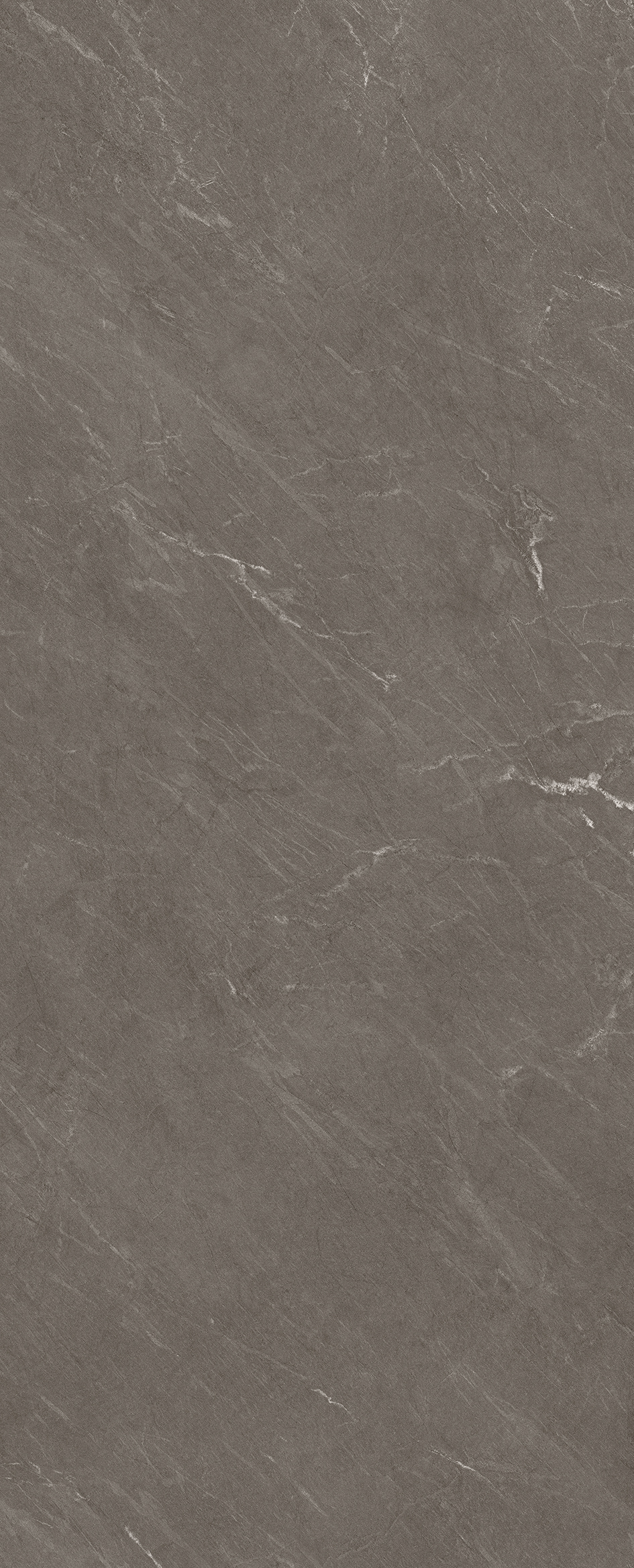 Avenue Taupe