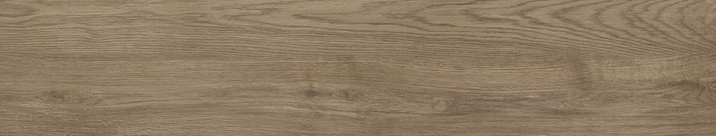 Mallorca Oak
