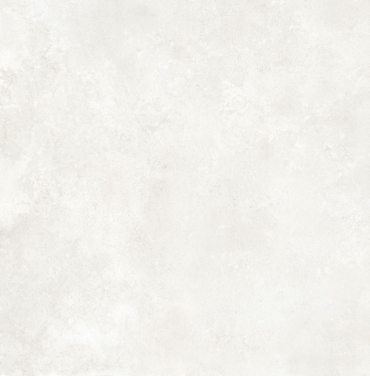 Evolutia White