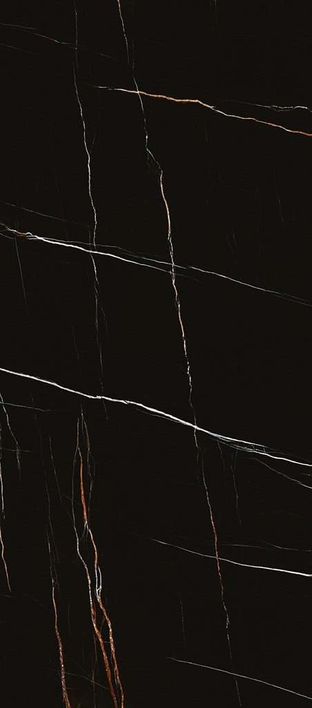 Sahara Noir