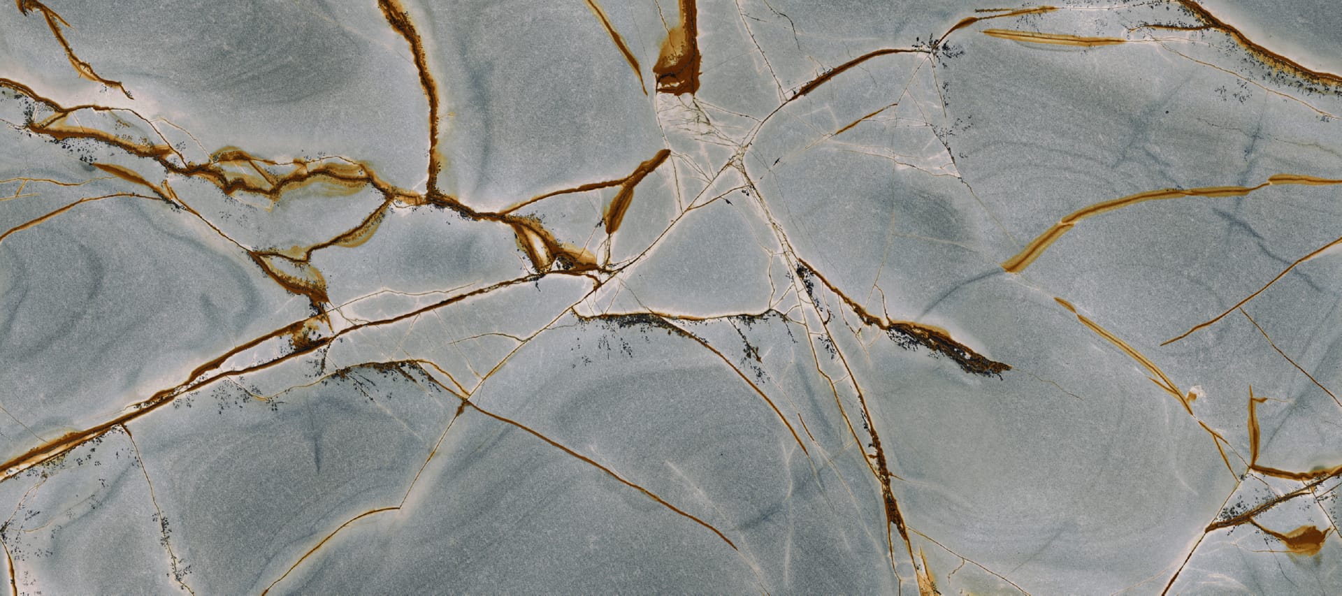 Blue Roma P