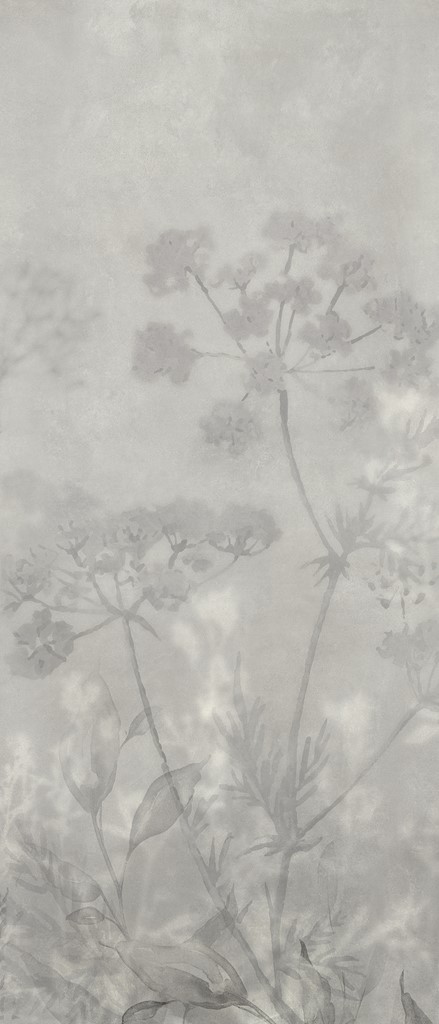 Seven Botanical Cold