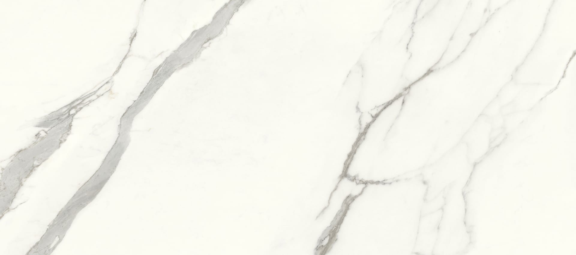 Aria White P